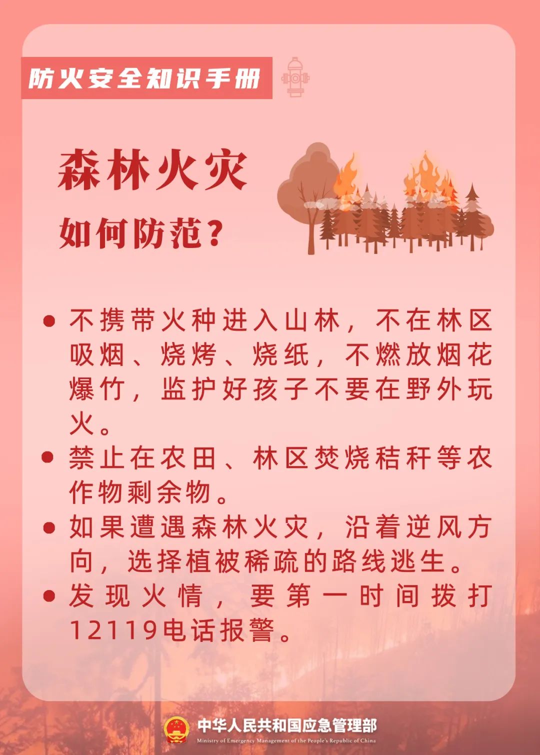 森林火灾如何防范.jpeg